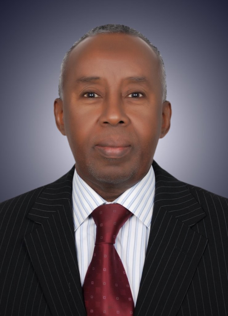 Portrait of Prof. Khalif Bile Mohamud, M.D., Ph.D.